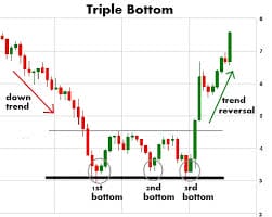 Triple Bottom